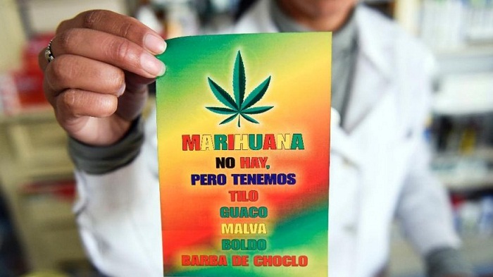 Marijuana can be sold at Uruguay pharmacies, but few want to